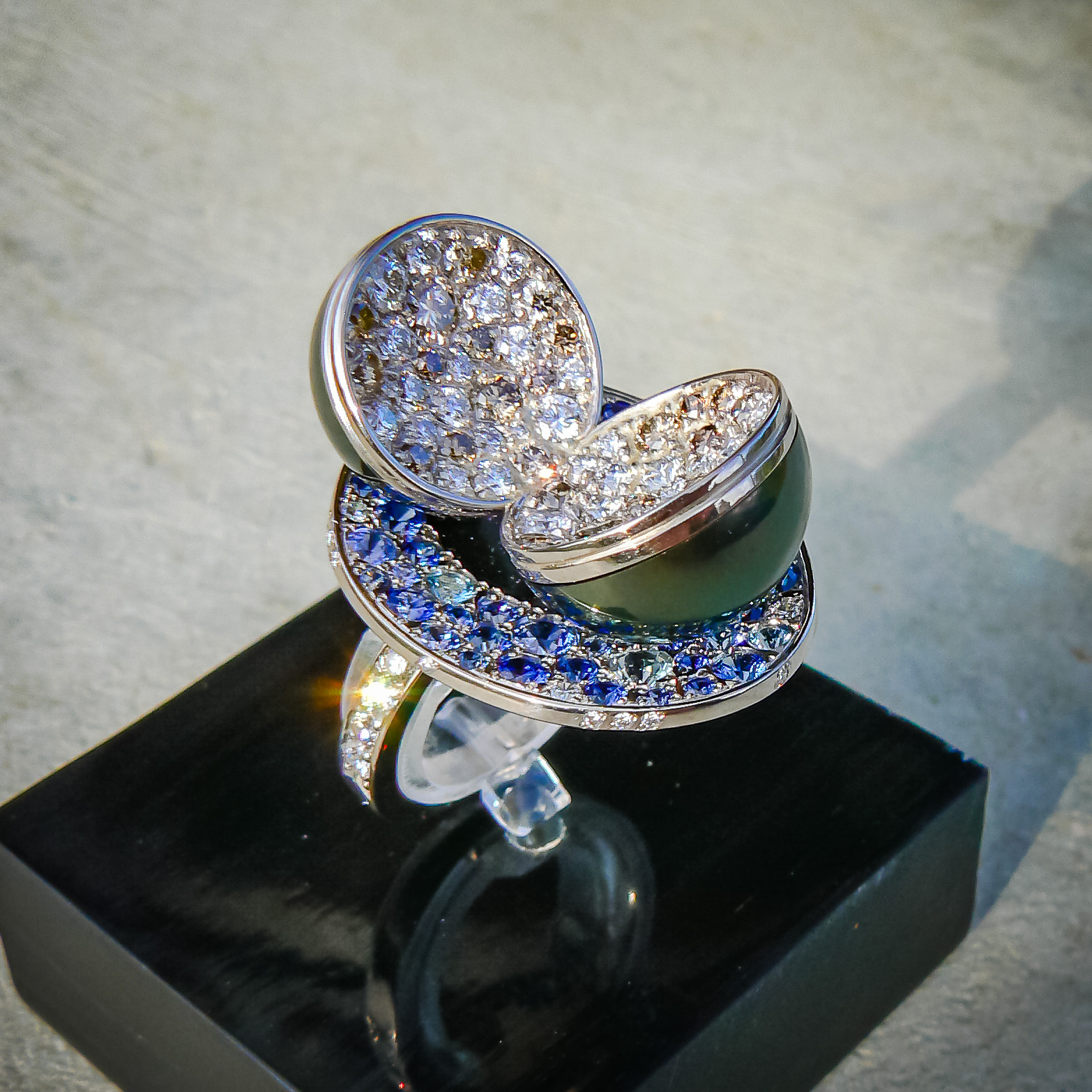 Fabrice LEROY - Artisan joaillier - Atelier Leroy Création - Normandie