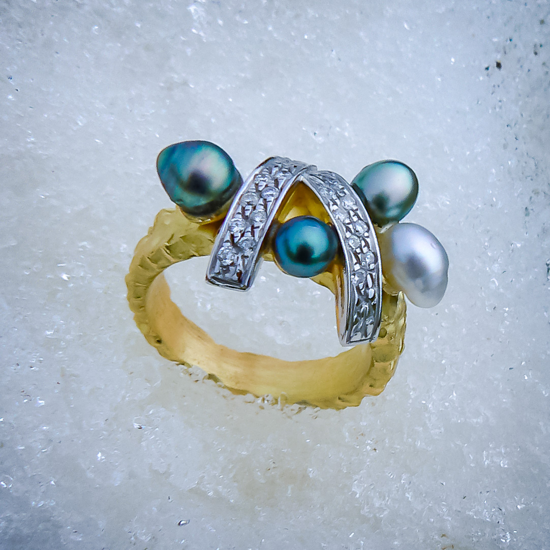 Fabrice LEROY - Artisan joaillier - Atelier Leroy Création - Normandie