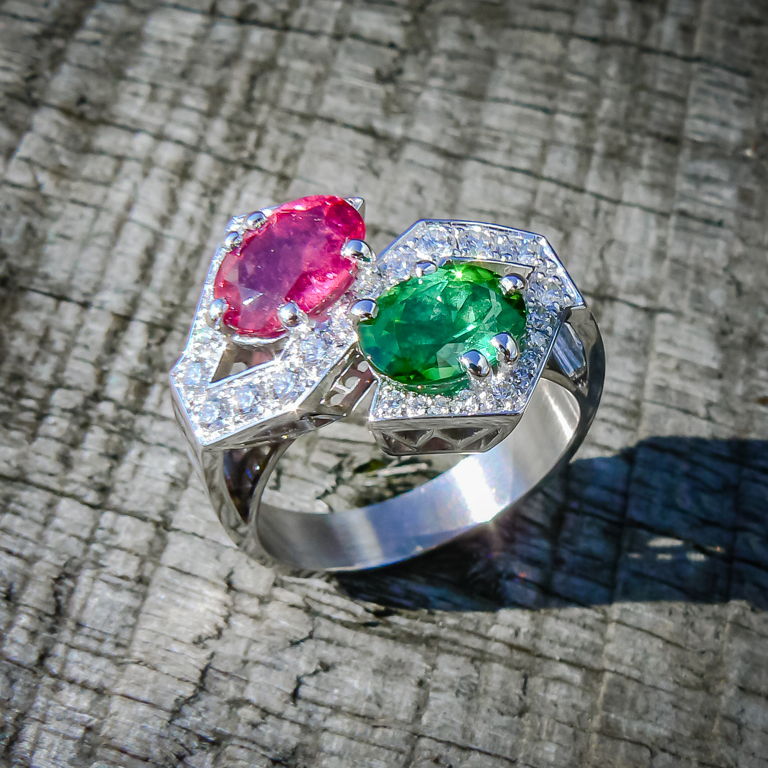 Fabrice LEROY - Artisan joaillier - Atelier Leroy Création - Normandie